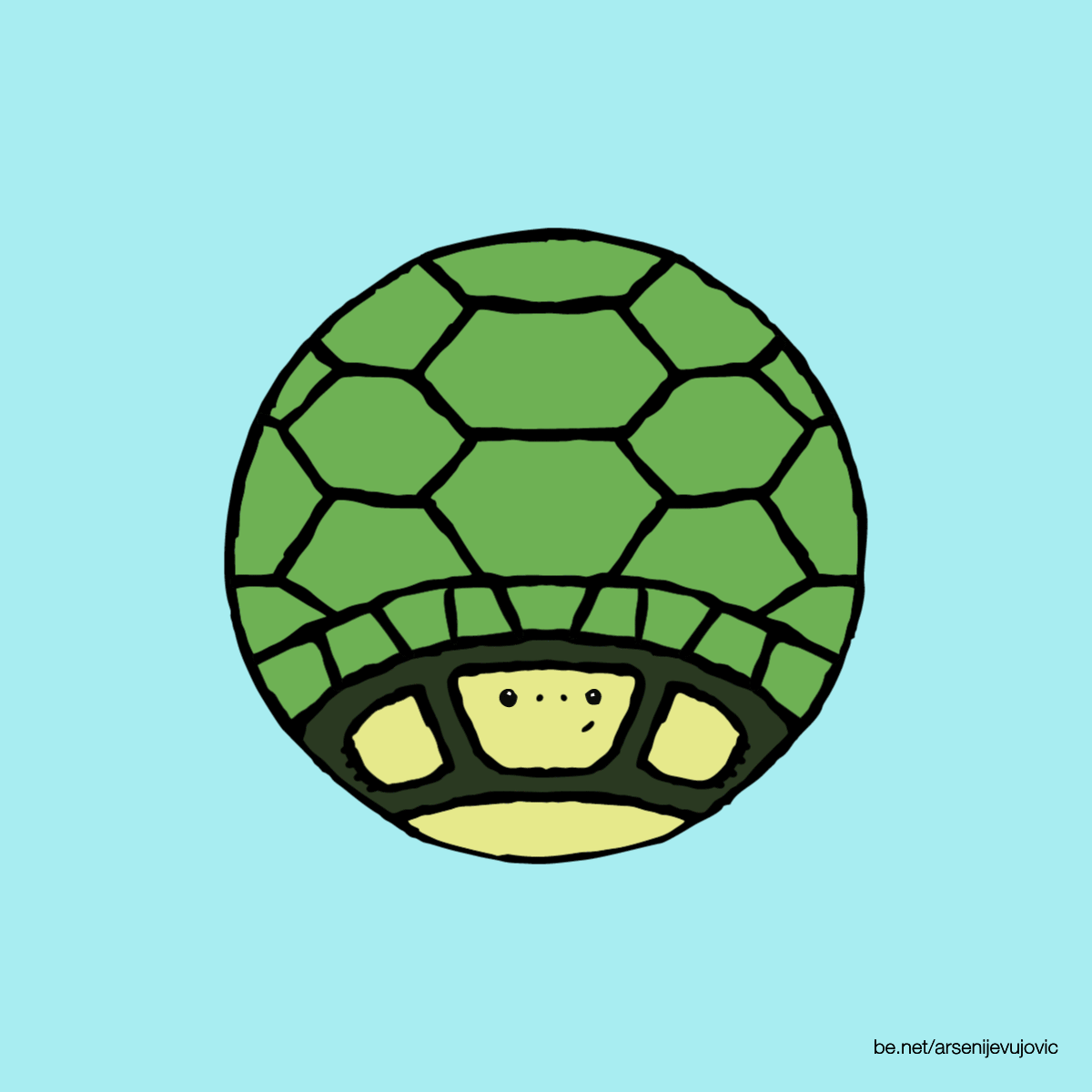 animation turtle turtles