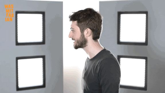 wasmitfabian mit was fabian