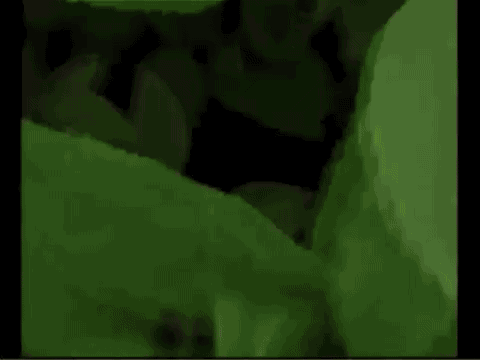 animated video games