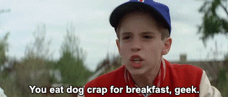 the sandlot hamilton porter gif