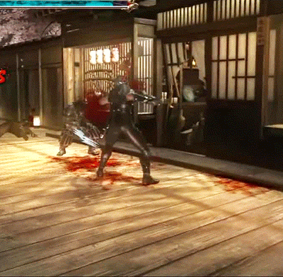 video games ninja gaiden 2