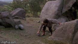 the princess bride man in black fezzik