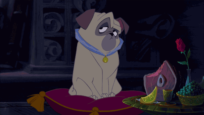 disney pug pocahontas percy