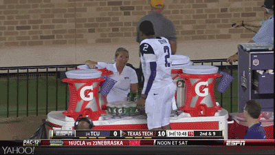 football fox college