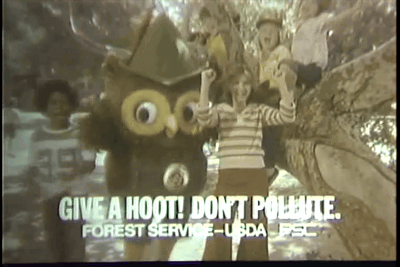 vintage woodsy owl give a hoot dont pollute