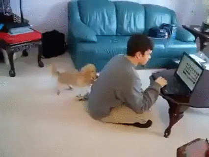 way cutest attention