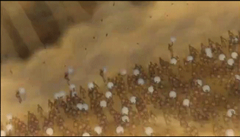 naruto shippuden japan