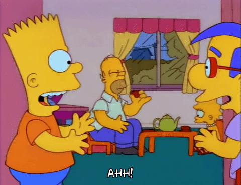 season 3 the simpsons 3x8