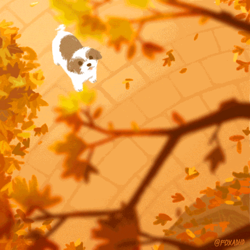 oliviawhen animation dog autumn