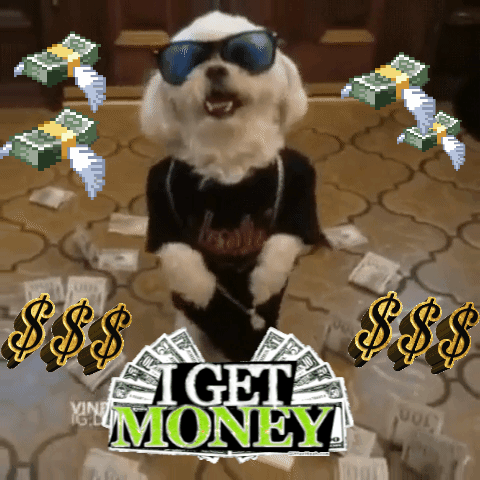 justin dog money shades