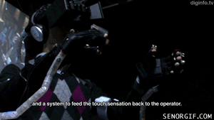 cheezburger japan feelings