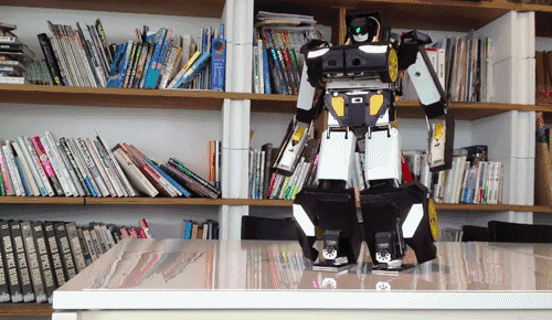 japan robot