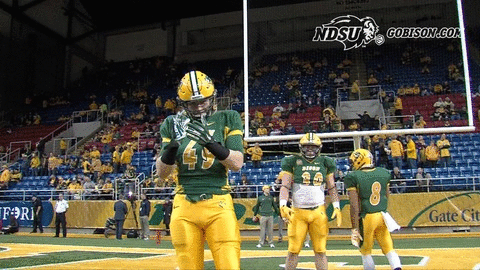 ndsuathletics bison ndsu north dakota state