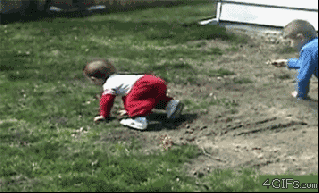 dog fall funny gif