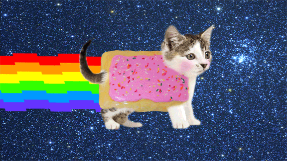 cat nyan pop tart