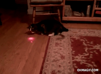 fail head laser