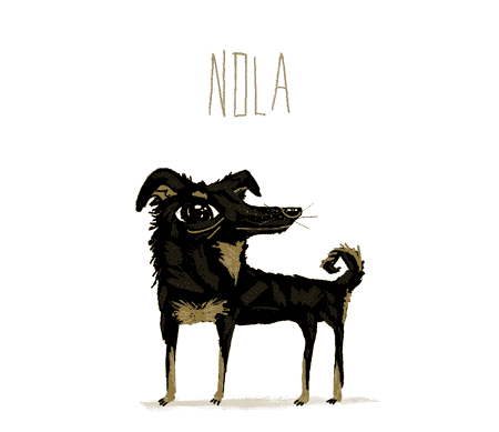 animation zach cohen cohzach