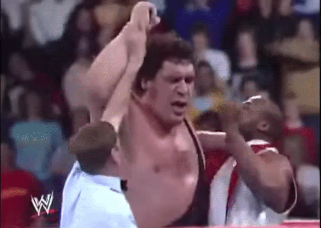 wwe hulk hogan andre the giant