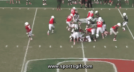 football college south carolina