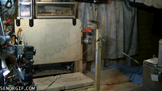 cheezburger funny win