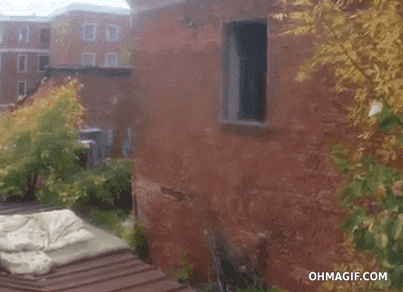 fail running mixed gif