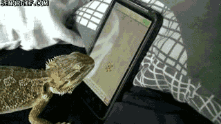 cheezburger video games