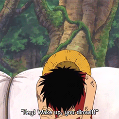 one piece luffy