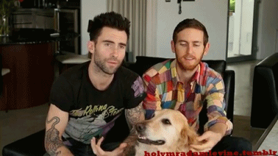 dog puppy adam levine