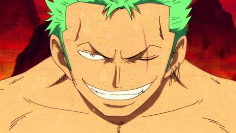 one piece roronoa zoro