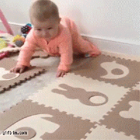 reactiongifs