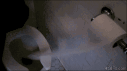 toilet bathroom nutella