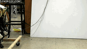 cheezburger other walking