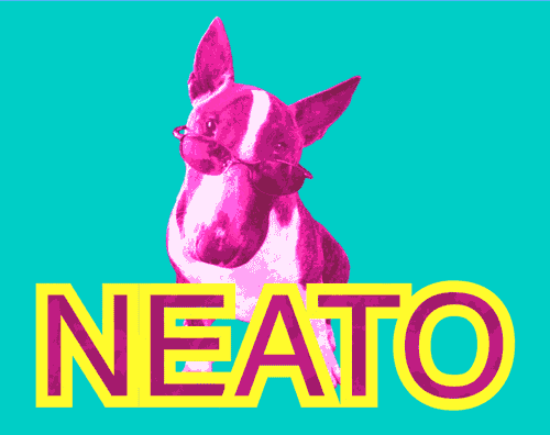 neat neato cool dog