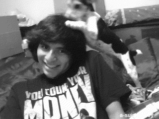 black and white bw puppy