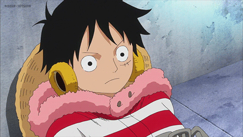 one piece monkey d luffy