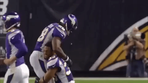 nfl minnesota vikings adrian peterson