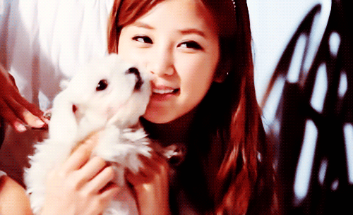 puppy apink a pink