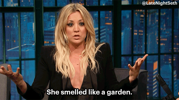 latenightseth kaley cuoco fangirl