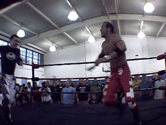 wrestling action pro