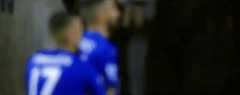 lcfc epl leicester city fc