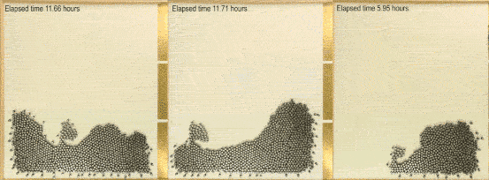 robots engineering harvard