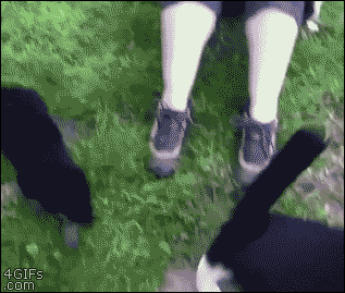 puppy gif happy tag he just wanna be friends