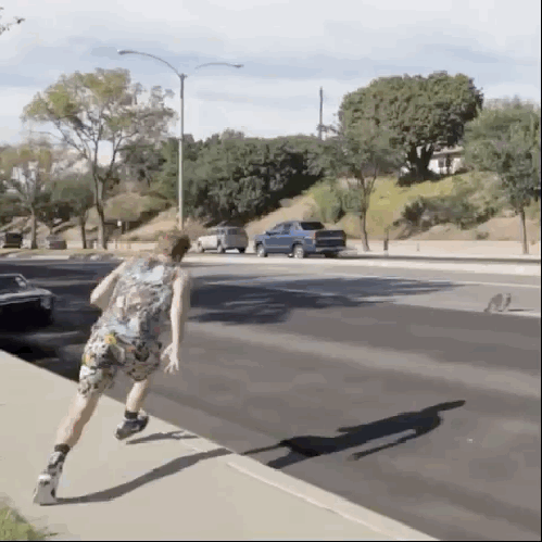 car kitty backflip