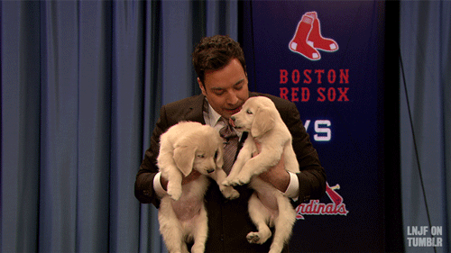 jimmy fallon puppies late night with