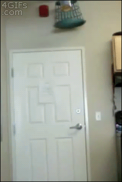 prank door