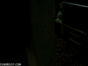 cheezburger video games mom like a boss