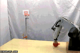 cheezburger basketball