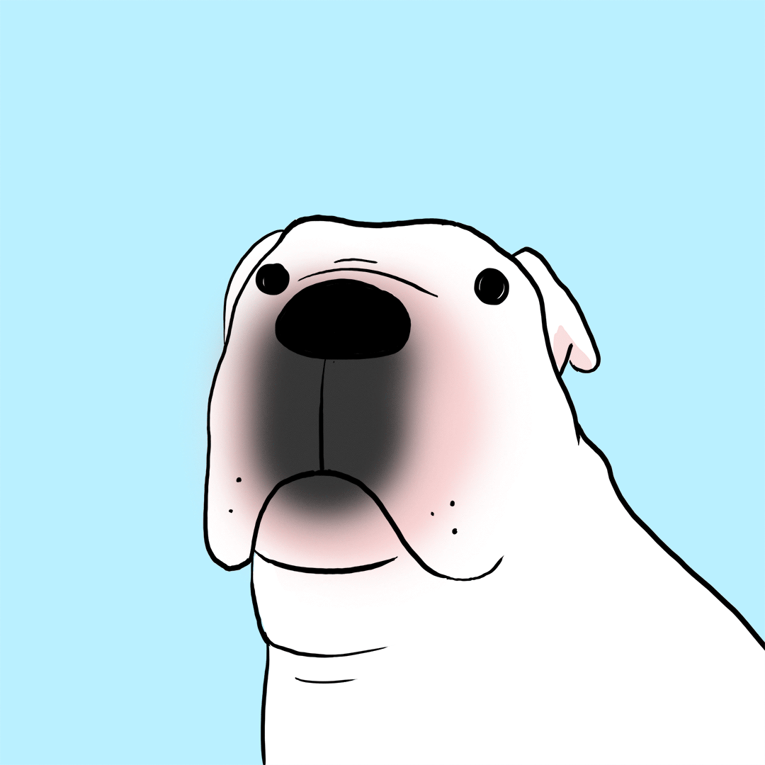 stefanie shank house of joy stef