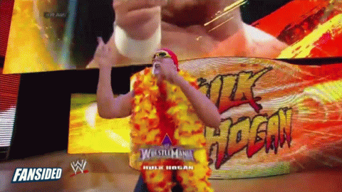 hulk hogan