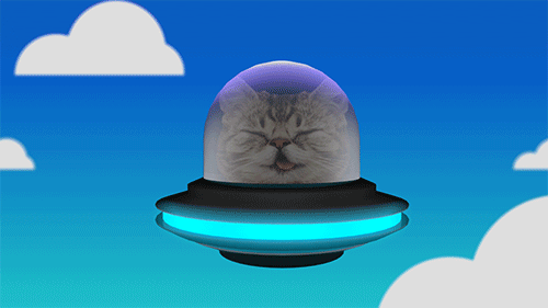 cat meow ufo